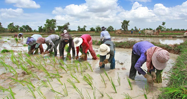 Sourcing of Agricultural Products in Southeast Asia: An Introduction