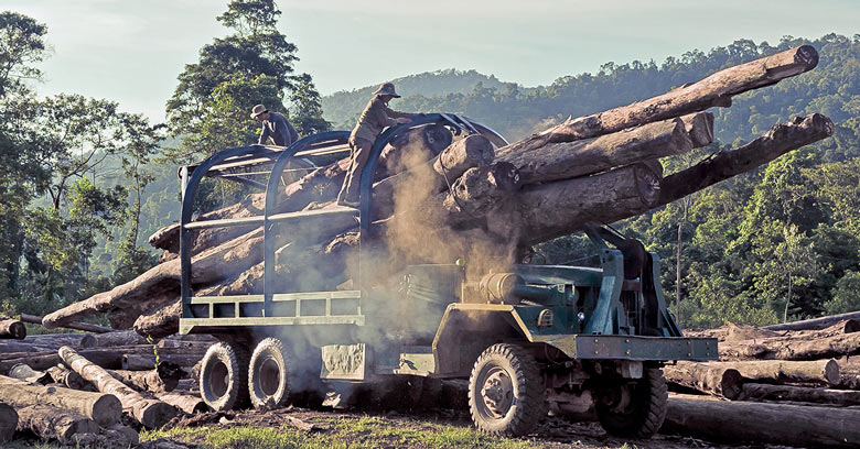 Vietnam’s Export of Wood and Wooden Furniture Recovers after COVID-19