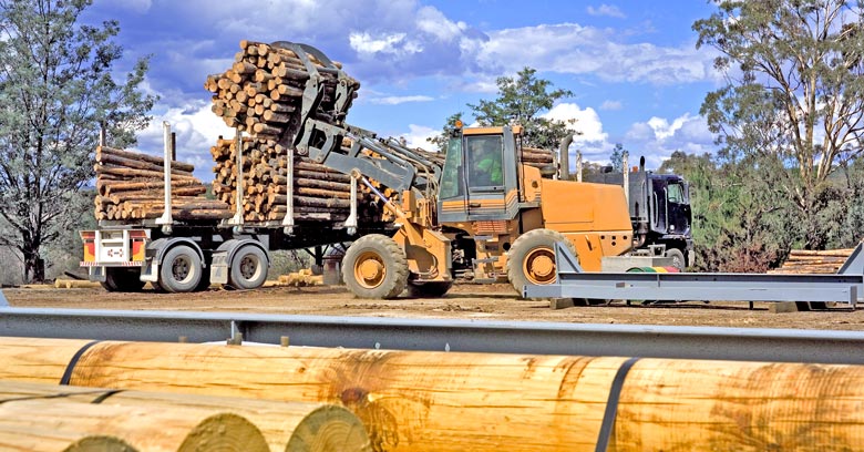 Importing Wood to Vietnam: An Introduction